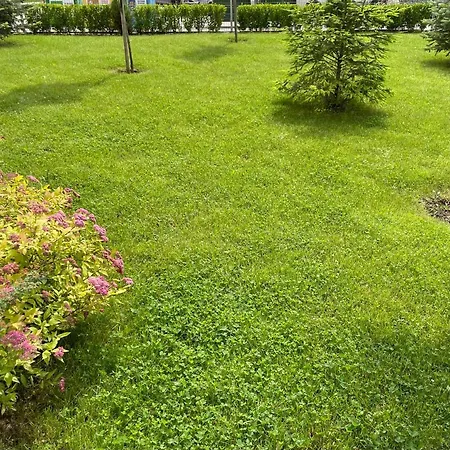 Mladost 2 - Free Parking Apartment *